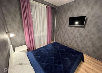 Однокомнатная квартира на продажу, 29.2 м2, село Эстосадок, Эстонская улица, 31