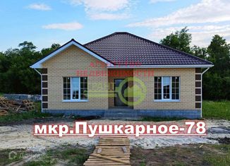 Продается дом, 100 м2, село Пушкарное, Центральная улица