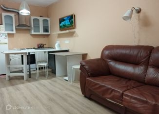 Сдается квартира студия, 22 м2, Мурино, Петровский бульвар, 7, ЖК Ласточка