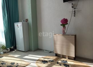 Квартира на продажу студия, 25 м2, Сочи, улица Верхняя Лысая Гора, 146, микрорайон Соболевка