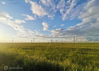 Продается земельный участок, 10 сот., село Кармаскалы, Рябиновая улица