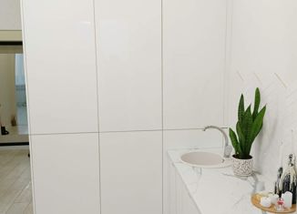 Продаю 1-комнатную квартиру, 41 м2, деревня Новосельцы, Юбилейная улица, 5