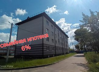 Продам 2-комнатную квартиру, 53.4 м2, Нижегородская область, улица Герцена, 6