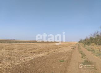 Продается участок, 200 сот., село Крайнее