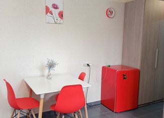 Продается квартира студия, 22.2 м2, село Агой, гостиничный комплекс Радуга, 10В