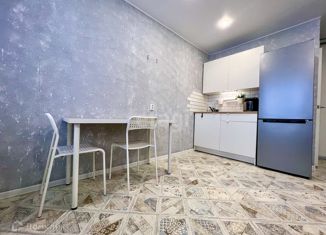 Продажа 1-комнатной квартиры, 17.9 м2, Казань, Агрызская улица, 82, Советский район