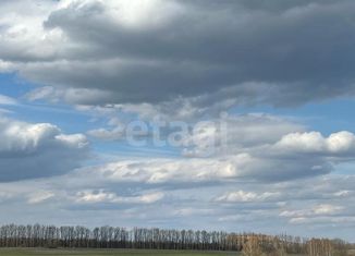 Участок на продажу, 8 сот., деревня Зимаровка