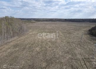 Продам земельный участок, 8 сот., село Горьковка, Сибирская улица