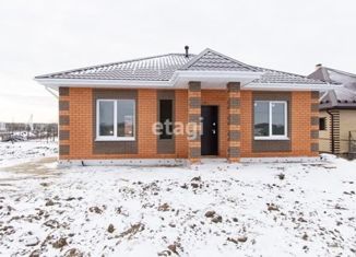 Продаю дом, 95 м2, деревня Паренкина, Весенняя улица