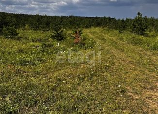 Участок на продажу, 606.9 сот., Режевской городской округ