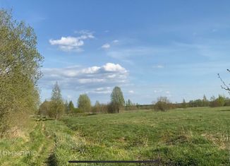 Продаю участок, 390 сот., деревня Кирилловка