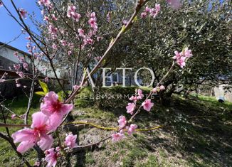 Продажа дома, 181 м2, село Горное Лоо, Плановая улица, 2