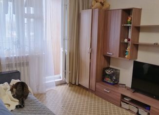 Продам 1-комнатную квартиру, 40.3 м2, деревня Пеники, Новая улица, 15