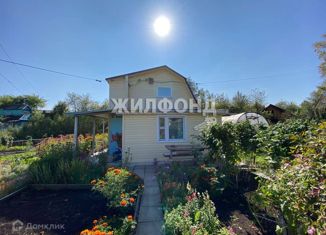 Продаю дом, 34.9 м2, Калтан