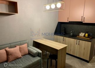 Продажа 1-ком. квартиры, 25.2 м2, Нижегородская область, Большая Перекрёстная улица