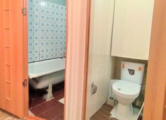 Продается 2-ком. квартира, 40.6 м2, деревня Безлычное, Центральная улица, 1