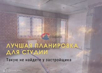 Продажа квартиры студии, 25.5 м2, Архангельск, проспект Ломоносова, 98, ЖК Рубин