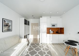 Продам квартиру студию, 24.5 м2, Санкт-Петербург, Торфяная дорога, 17к2, Торфяная дорога