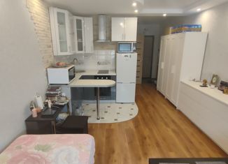 Продаю квартиру студию, 24 м2, деревня Лопатино, Сухановская улица, 17