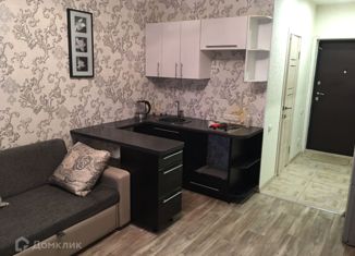 Квартира в аренду студия, 22 м2, Бердск, Речная улица, 38