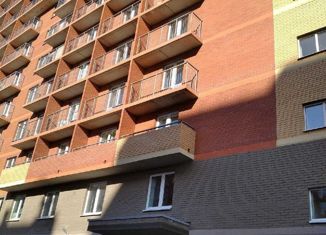 Продаю квартиру студию, 24.5 м2, Колпино, ЖК Новое Колпино