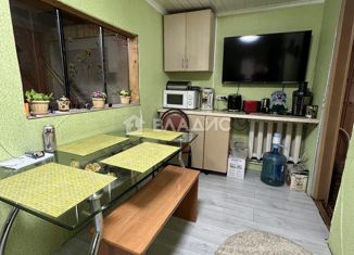 Продается дом, 60 м2, деревня Васильевка