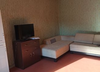 Продается 2-комнатная квартира, 50.8 м2, Санкт-Петербург, проспект Кузнецова, 17Е, метро Проспект Ветеранов