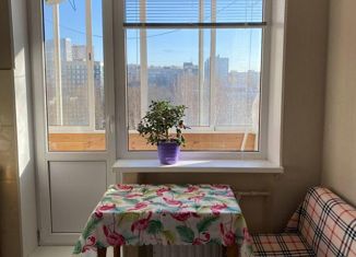 Однокомнатная квартира на продажу, 33 м2, Санкт-Петербург, улица Жени Егоровой, 4к3, метро Парнас