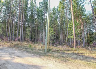 Земельный участок на продажу, 6 сот., село Горячинск