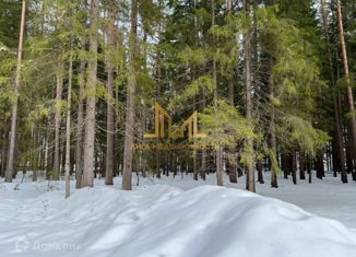 Продам участок, 20.1 сот., городской посёлок Рощино, Еловая аллея