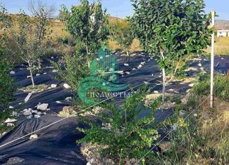 Продажа земельного участка, 5 сот., СОТ Кипарис