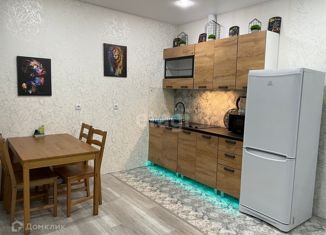 Сдам в аренду 1-комнатную квартиру, 30 м2, Адыгея, Береговая улица, 3к15