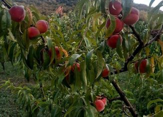 Участок на продажу, 3.3 сот., садоводческое товарищество Чайка-3, улица Нахимова