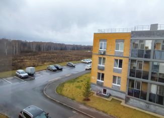 Продается однокомнатная квартира, 34.2 м2, деревня Царёво, улица Петра Гаврилова, 34