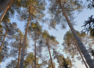 Продается земельный участок, 40 сот., поселок дачного хозяйства Жуковка