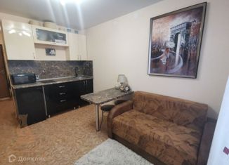 Продам квартиру студию, 17 м2, Нижний Новгород, Коломенская улица, 8к3, метро Парк Культуры