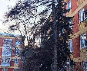 Продается двухкомнатная квартира, 56 м2, Новосибирск, Морской проспект, 64, Морской проспект