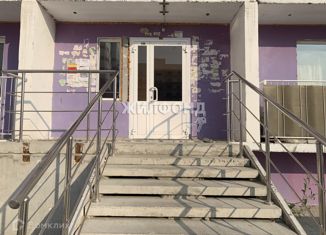 Продам квартиру студию, 38.4 м2, Новосибирск, улица Виктора Шевелёва, 24, метро Студенческая