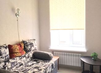 Сдача в аренду однокомнатной квартиры, 25 м2, Санкт-Петербург, Петрозаводская улица, 3, Петрозаводская улица