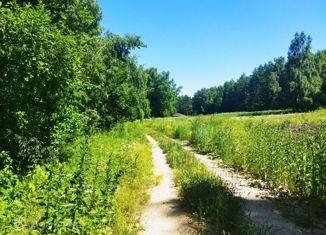 Продаю земельный участок, 10 сот., деревня Белугино, деревня Белугино, 16