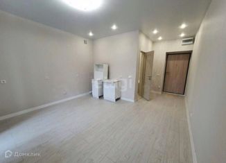 1-комнатная квартира на продажу, 22.8 м2, деревня Кисловка, бульвар Николая Гумилева, 4, ЖК Рябиновый