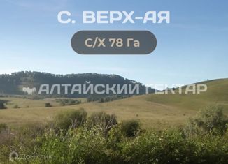 Продается участок, 5433 сот., село Верх-Ая