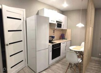 Квартира на продажу студия, 25 м2, Краснодар, Командорская улица, 3к1, ЖК Видный