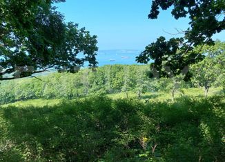 Продажа участка, 138 сот., поселок Береговой, Лесная улица