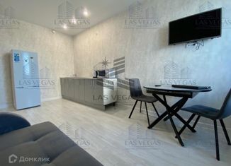 Аренда 2-ком. квартиры, 35 м2, Казань, улица Космонавтов, 61Е, Советский район