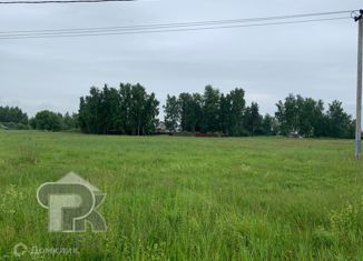 Участок на продажу, 11 сот., деревня Петровское