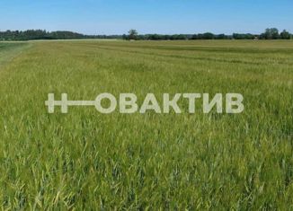 Продажа участка, 5000 сот., посёлок Новорощинский