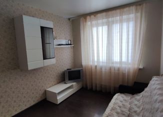 1-комнатная квартира в аренду, 30 м2, посёлок Петровский, улица Константина Паустовского, 8