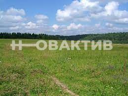 Продам участок, 10 сот., село Белоярка