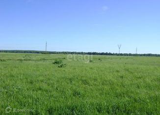 Продается участок, 7 сот., село Береговое, Сельская улица